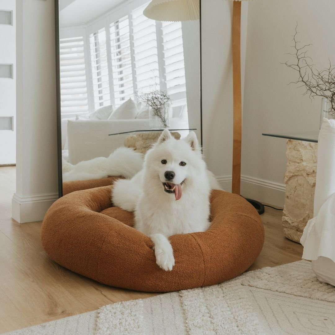 Premium Teddy Bed - Image 4